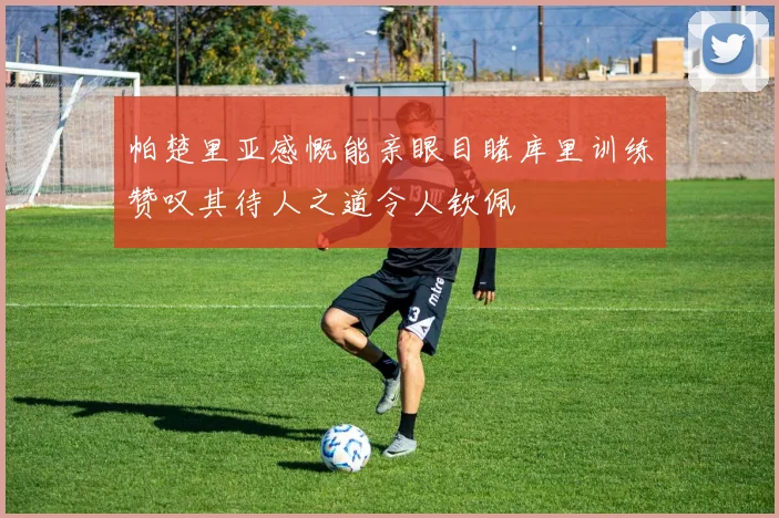 帕楚里亚感慨能亲眼目睹库里训练赞叹其待人之道令人钦佩