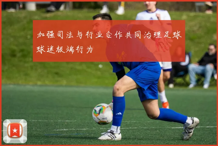 加强司法与行业合作共同治理足球球迷极端行为