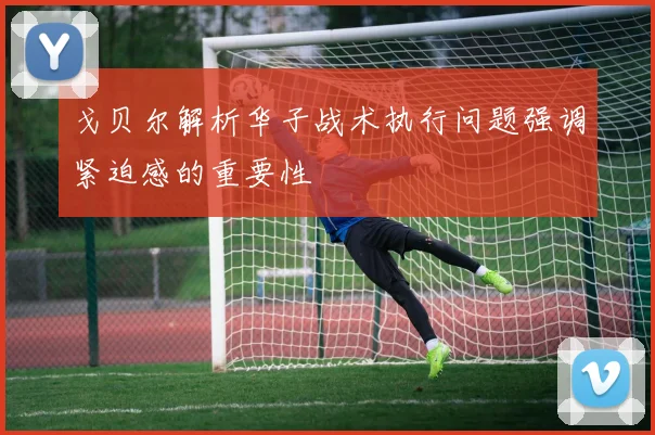 戈贝尔解析华子战术执行问题强调紧迫感的重要性