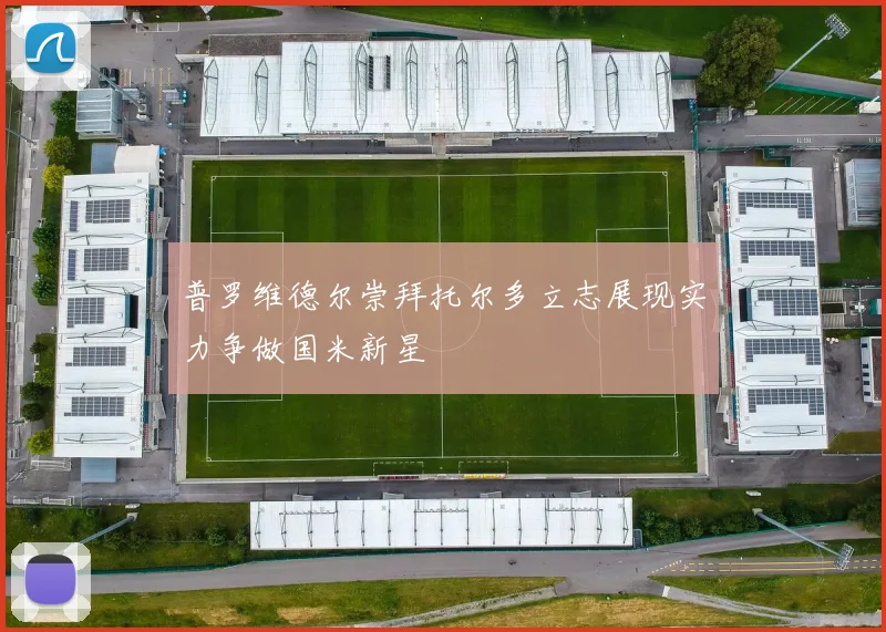 普罗维德尔崇拜托尔多立志展现实力争做国米新星