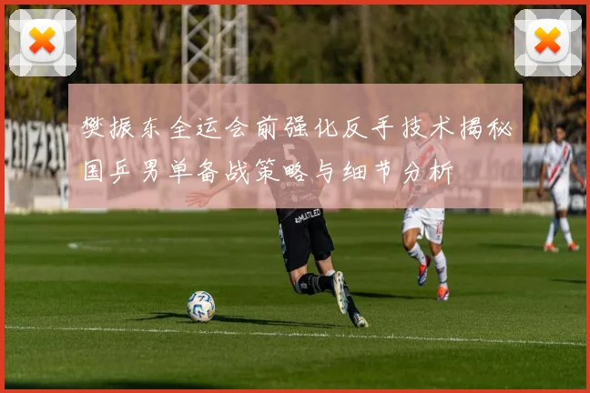 樊振东全运会前强化反手技术揭秘国乒男单备战策略与细节分析